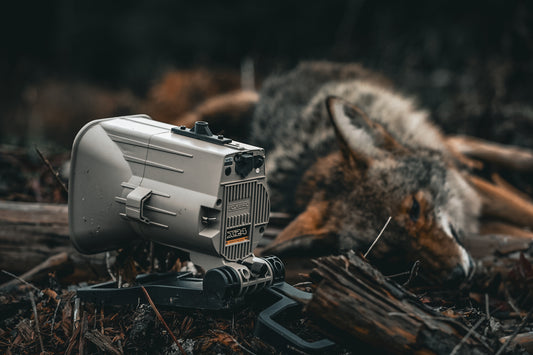 FOXPRO X24
